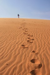 Fototapeta na wymiar Desert Walk
