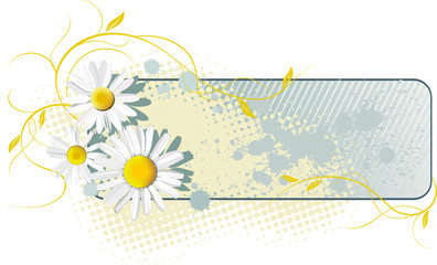 Grunge floral frame with white chamomiles