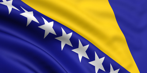 Flag Of Bosnia and Herzegovina