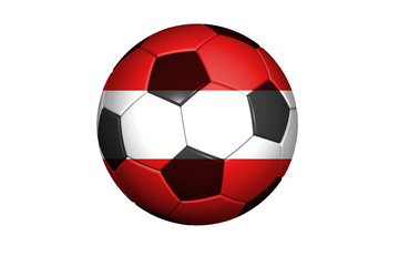 Österreich Fussball WM 2010