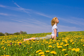 Fototapeta premium young female excercising yoga on flowery meadow