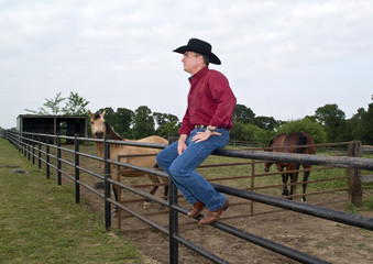 Horse Ranch