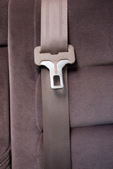 Seatbelt in Car