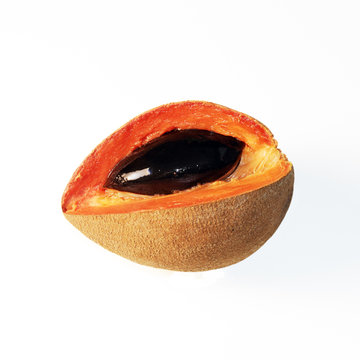 Tropical zapote fruit sliced - isolated
