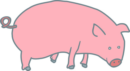cochon