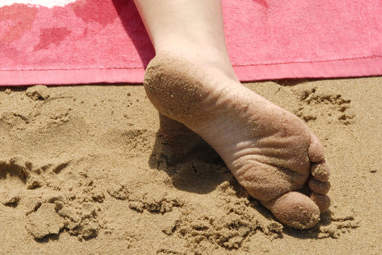 Plante de pied