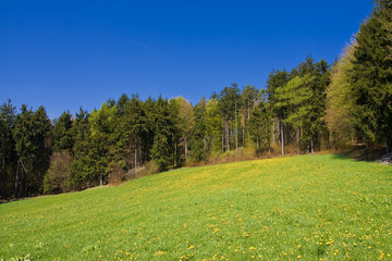 beautiful rural landscape with blue sky