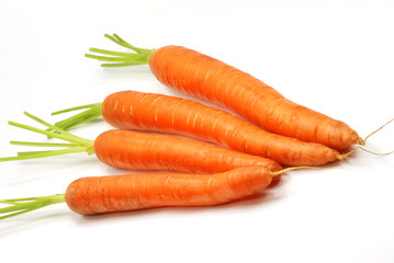 Frische knackige Karotten