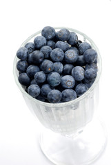Blaubeer Dessert