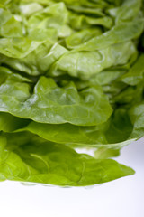 Feuilles de salade verte