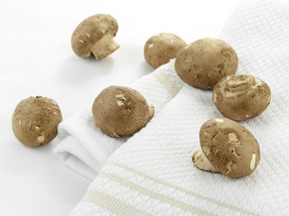 Collection of Cremini Mushrooms