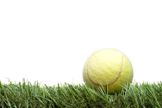 Tennis Ball On The Lawn Against White Background