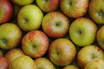 äpfel