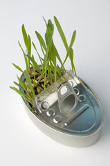 grass from can