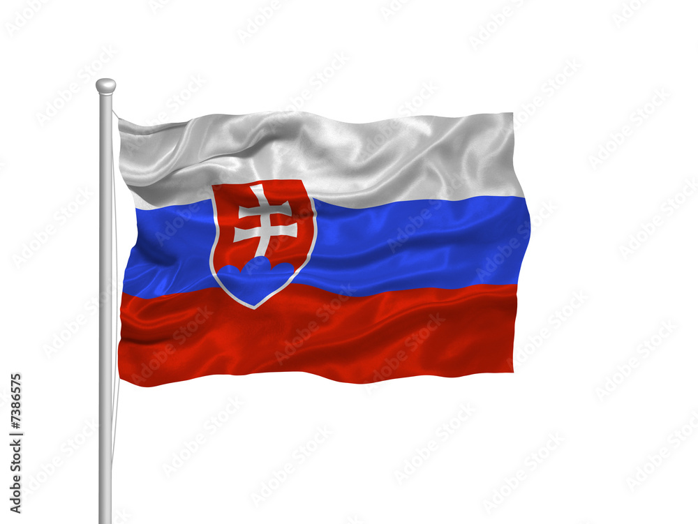 Wall mural slovakia flag 2