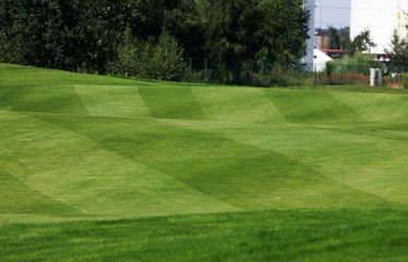 Golf green