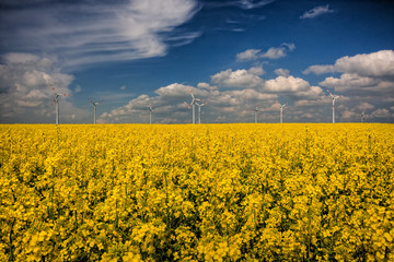 wolken-wind-raps