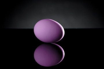 Purple Egg on Black Acrylic with Reflection