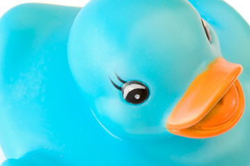 Blue plastic duck
