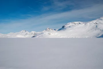 Deurstickers Arctica Groenland