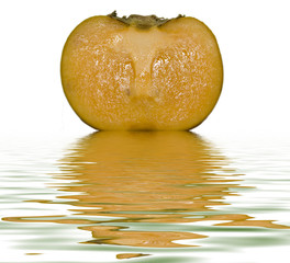 Sharon Fruit reflected