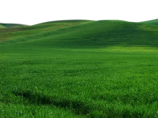  Glooiende Groene Heuvels © paulacobleigh