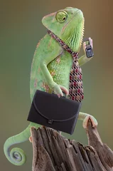 Fotobehang Chameleon Businessman © Cathy Keifer