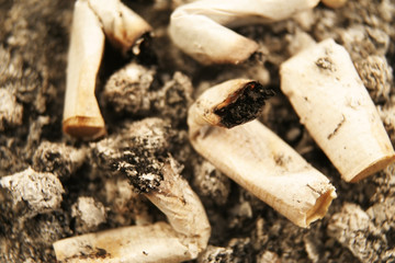 Close up of cigarettes in an ashtray