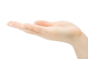 Woman hand holding anything isolated with clipping path