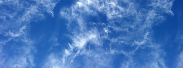 ciel bleu outremer zébré de nuages d'altitude - obrazy, fototapety, plakaty