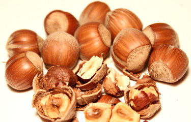 nocciole