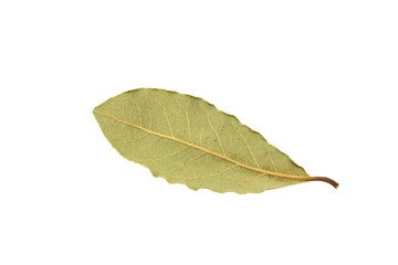 Dry bay leaf