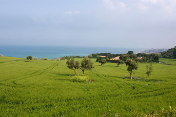 Vista sul mare