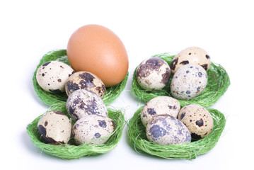 Quail's eggs and he's egg.