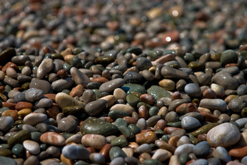 sea pebblees