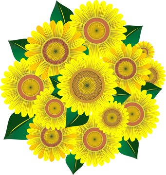 Bouquet sunflower