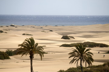 Playa del Ingl&eacute;s