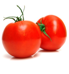tomatoes