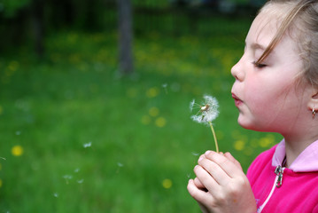 Cute girl blowing dandelion