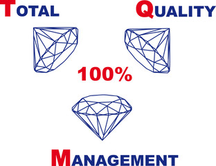Total Quality Management 001
