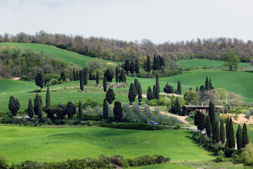 tuscany green season