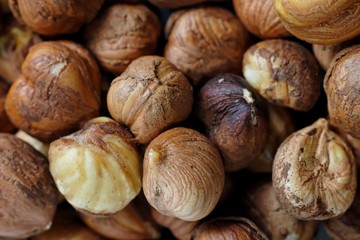 Closeup of couple of brown cleaned hazelnuts