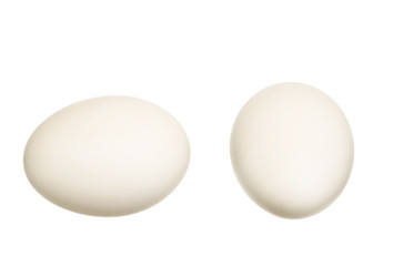 Eggs on white