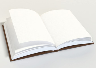 Libro aperto con pagine bianche