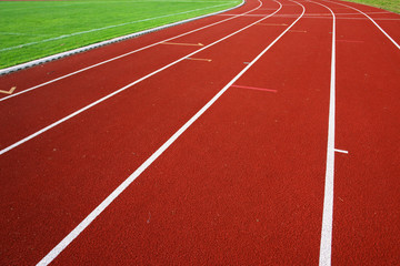 Race