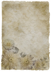 old paper with  flower ornament