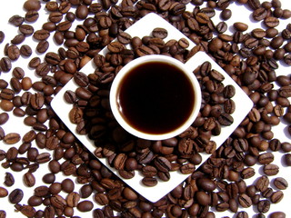 Tasse à Café