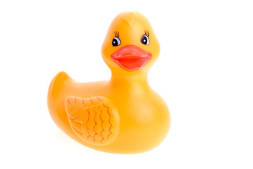 Rubber Duck Isolated