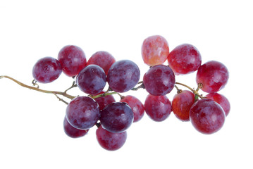 Grape cluster isolated