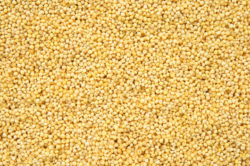 Millet background